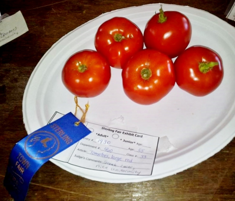 Darlene Spencer_(16)_prize-winning tomatoes_9-12-13_JO